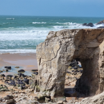 Quiberon / 42Min / 33Km